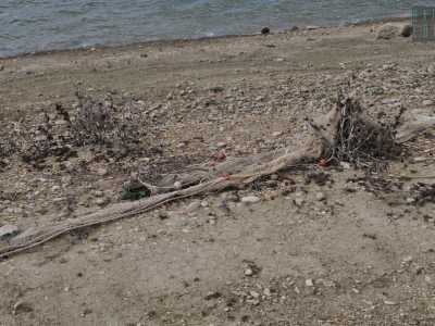 E poco lontano ecco ci� che rimane di una grossa rete con galleggianti, sicuramente non permessa per la pesca nei laghi